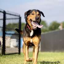 Thumbnail photo of Charlie #2