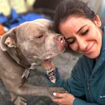 Thumbnail photo of Eddie #2