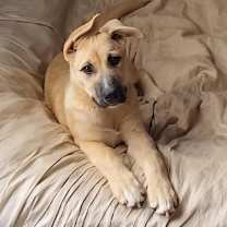 Thumbnail photo of Beth #3