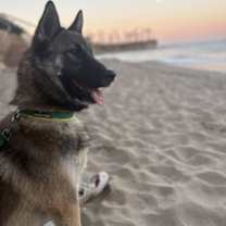 Thumbnail photo of Cooper #2