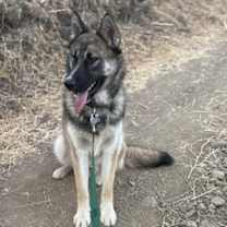 Thumbnail photo of Cooper #3