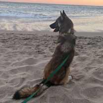 Thumbnail photo of Cooper #4