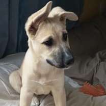 Thumbnail photo of Beth #3