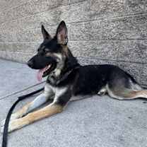 Thumbnail photo of Bravo #1