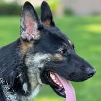 Thumbnail photo of Bravo #2