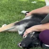 Thumbnail photo of Bravo #3