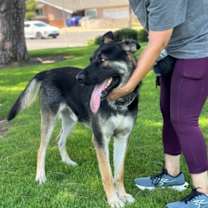 Thumbnail photo of Bravo #4