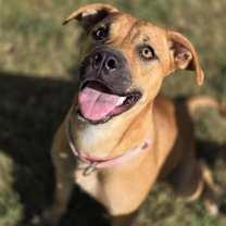 Thumbnail photo of Sissy #1