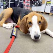 Thumbnail photo of Johnny #3