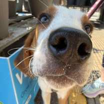 Thumbnail photo of Johnny #4