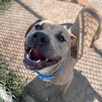 Thumbnail photo of Barney #1