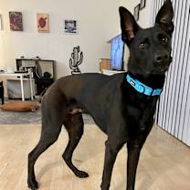 Thumbnail photo of Beckett #4