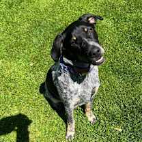 Thumbnail photo of Rip #1