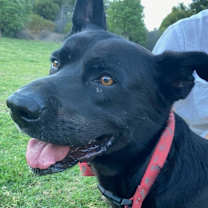 Thumbnail photo of Cash #1