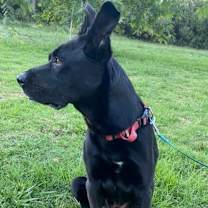 Thumbnail photo of Cash #2