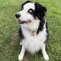 Thumbnail photo of Pandora #1