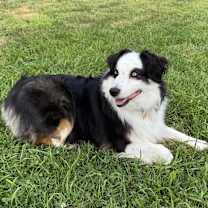 Thumbnail photo of Pandora #2