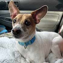 Thumbnail photo of Pablo #4