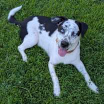 Thumbnail photo of Jackson #1