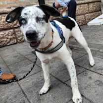 Thumbnail photo of Jackson #3