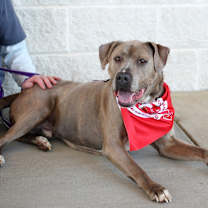 Thumbnail photo of Ramsie #3