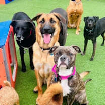 Thumbnail photo of Bubba #1