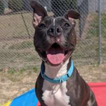 Thumbnail photo of Karen #3