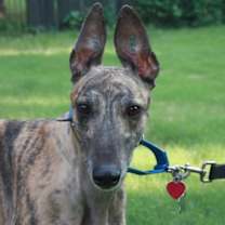 Thumbnail photo of Winnie #1