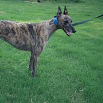 Thumbnail photo of Winnie #3