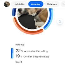 Thumbnail photo of Callie #2