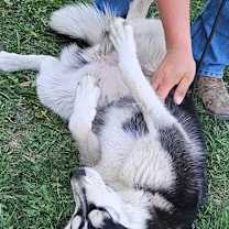 Thumbnail photo of Luna #3