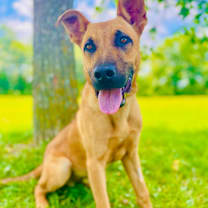 Thumbnail photo of Ranger #2