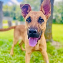 Thumbnail photo of Ranger #3