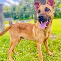 Thumbnail photo of Ranger #4