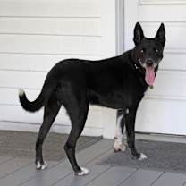 Thumbnail photo of Lucca #3