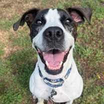 Thumbnail photo of Precious #1