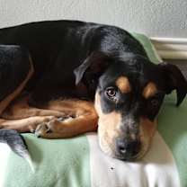 Thumbnail photo of Crew #1