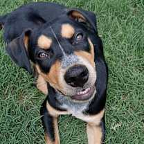 Thumbnail photo of Crew #2