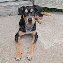 Thumbnail photo of Crew #3