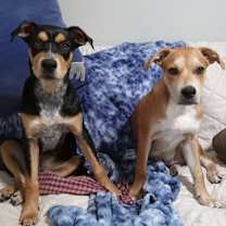 Thumbnail photo of Crew #4