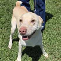 Thumbnail photo of Cheyenne #2