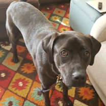 Thumbnail photo of Ellie #1