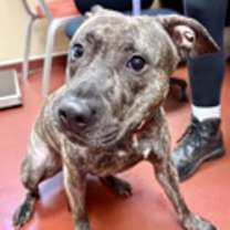 Thumbnail photo of Peaches #3