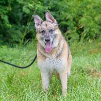 Thumbnail photo of Bronx #1