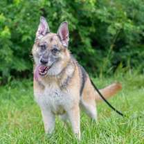 Thumbnail photo of Bronx #2