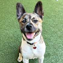 Thumbnail photo of Bernie #3