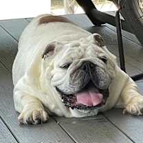 Thumbnail photo of Hercules #2