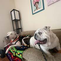 Thumbnail photo of Hercules #3