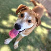 Thumbnail photo of Viper- City of Industry Location #4