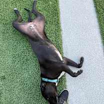 Thumbnail photo of Sweetie #3